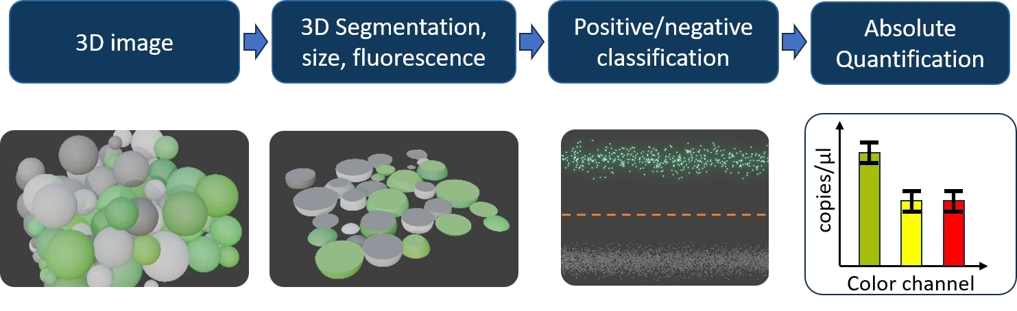 edPCR computational workflow: reference fluorescence image, droplet segmentation, PCR intensity image, and droplet positivity plot