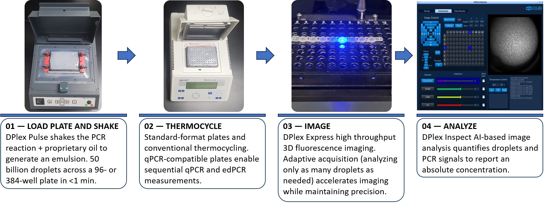 edPCR workflow: load and shake multi-well plate, thermocycle, then image and analyze